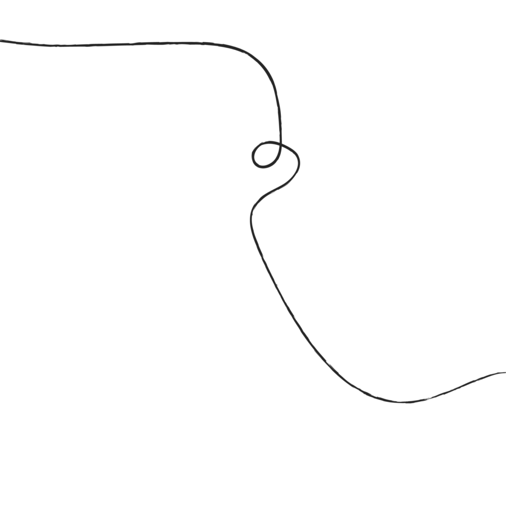 linie schwarz scaled e1784198229511
